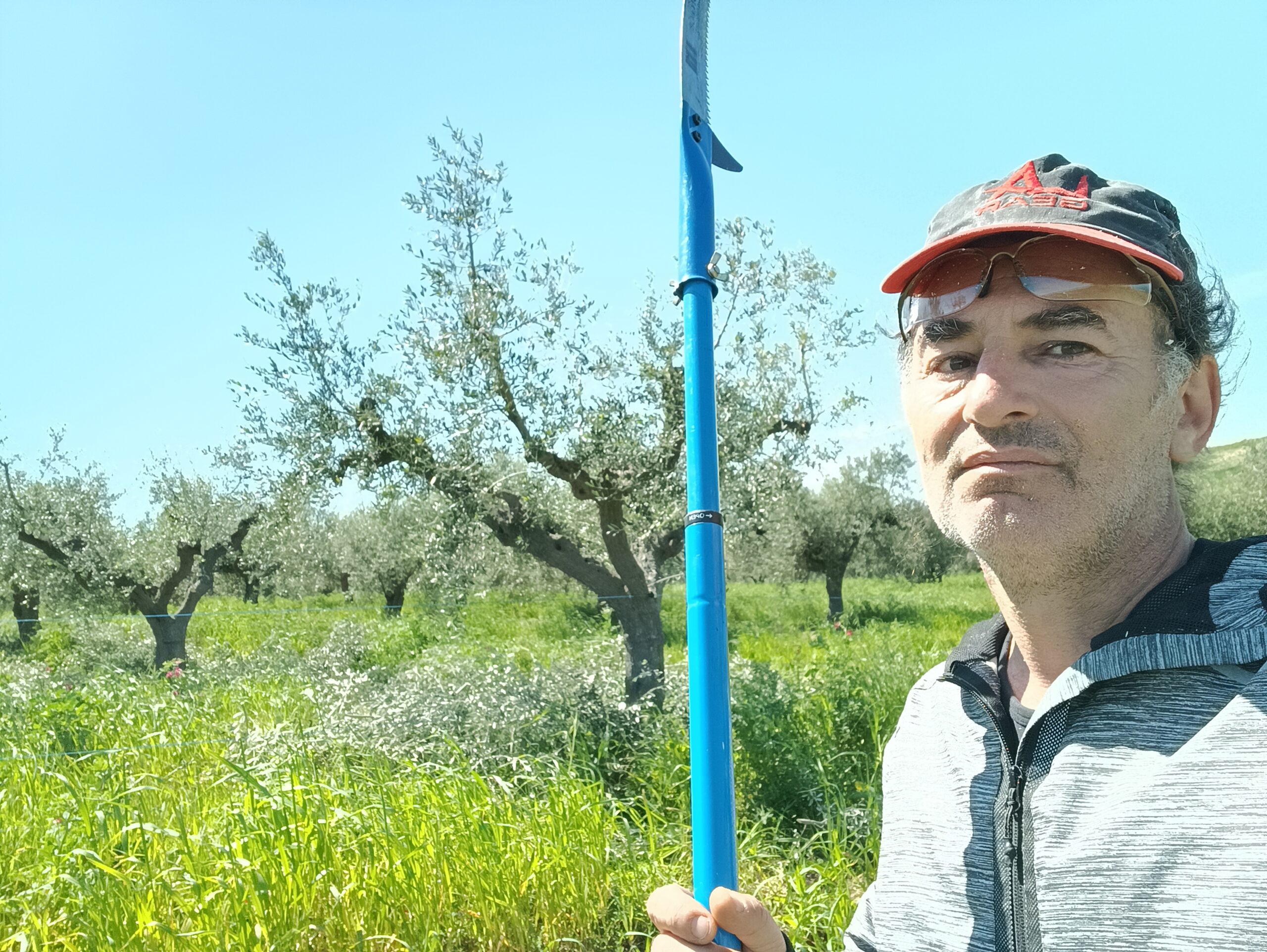 Alessandro La Palombara durante la potatura dell'oliveto — Masseria La Palombara, aprile 2023