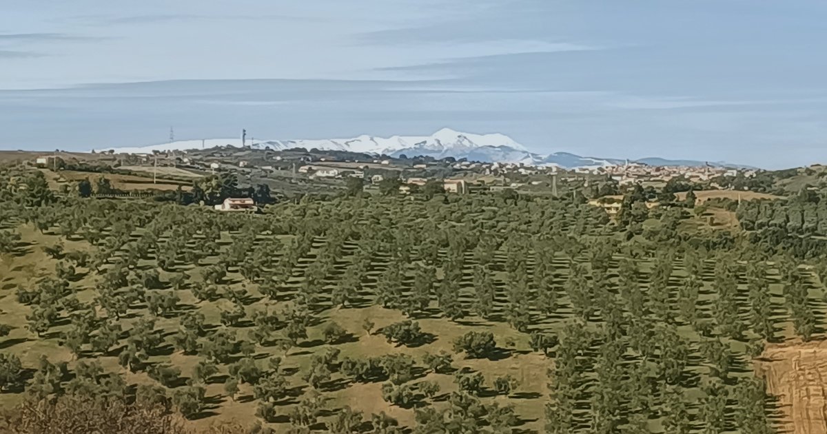 Le previsioni di settembre, alla prova della raccolta